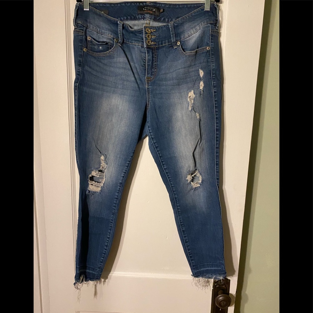Torrid Premium Skinny Jeans